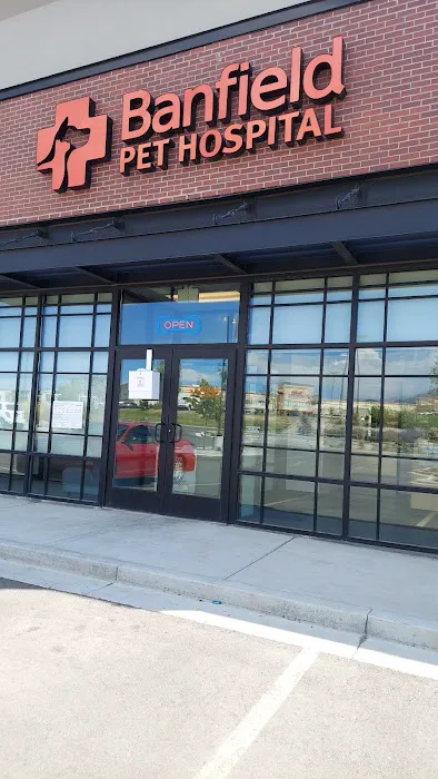 Banfield Pet Hospital 4