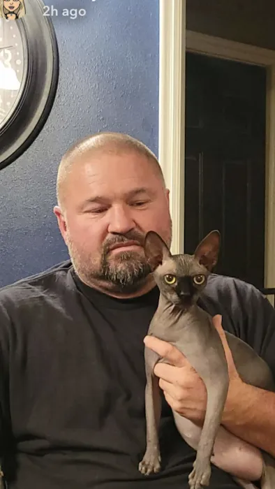 Majestic Nakids Sphynx 6