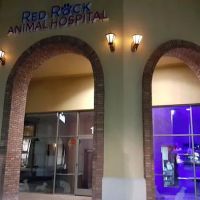 Red Rock Animal Hospital ico