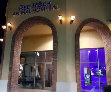 Red Rock Animal Hospital
