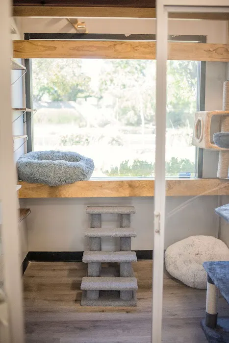 Trailwood Cat Hospital 4