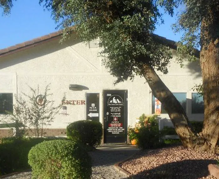 VCA Warm Springs Animal Hospital 6