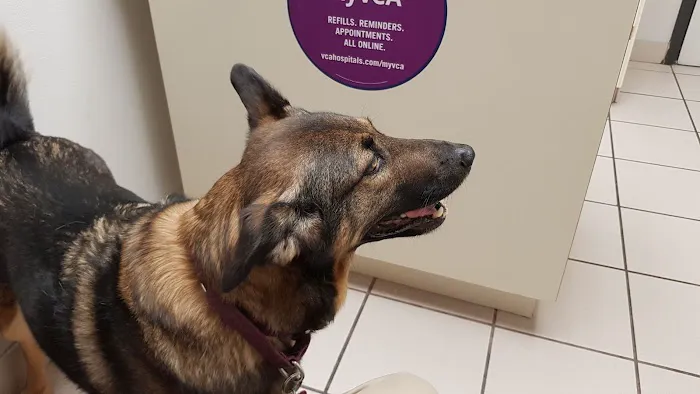 VCA Warm Springs Animal Hospital 4