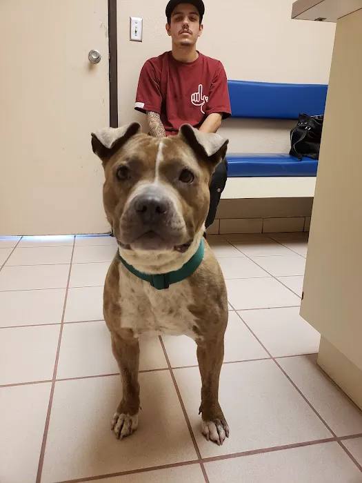 VCA Warm Springs Animal Hospital 3
