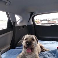 VCA Warm Springs Animal Hospital ico