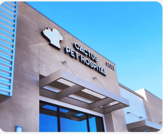Cactus Pet Hospital 3