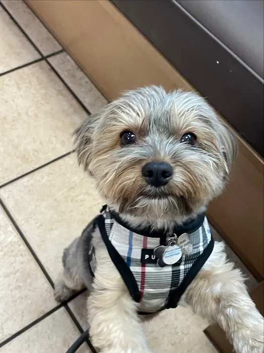 South Valley Animal Hospital 4