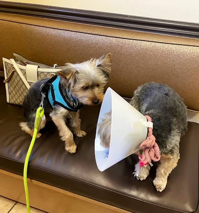South Valley Animal Hospital 8