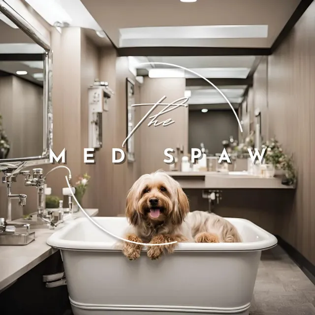 The Med Spaw 6
