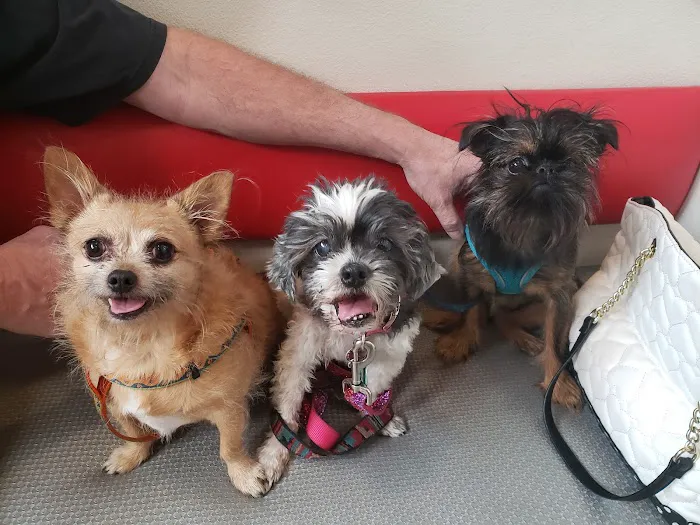 Spencer Springs Animal Hospital 1
