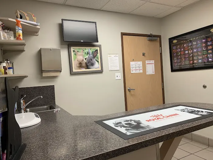 Spencer Springs Animal Hospital 4