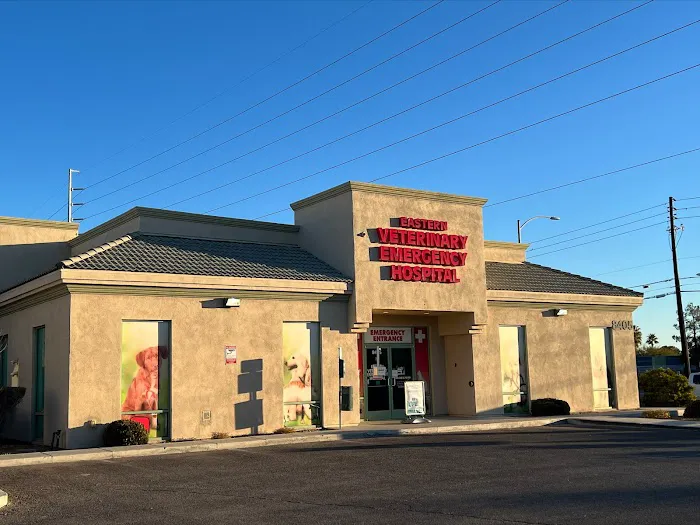 Animal Dermatology Clinic 1