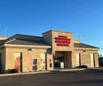 Animal Dermatology Clinic
