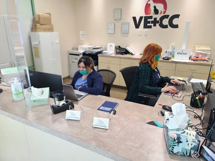 Animal Dermatology Clinic 4