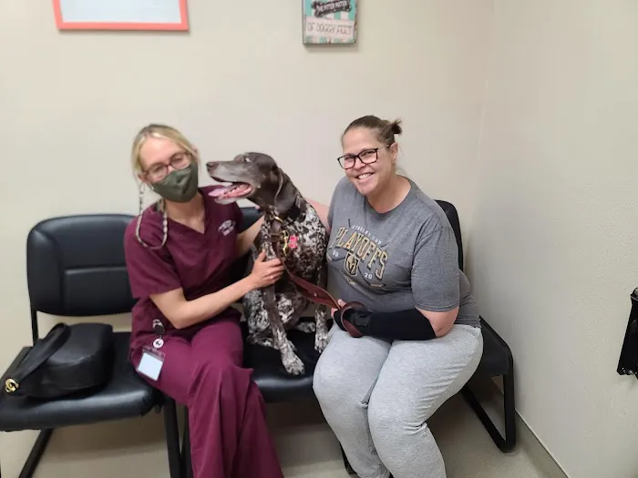 Animal Dermatology Clinic 6