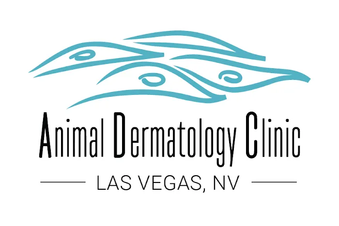 Animal Dermatology Clinic 5