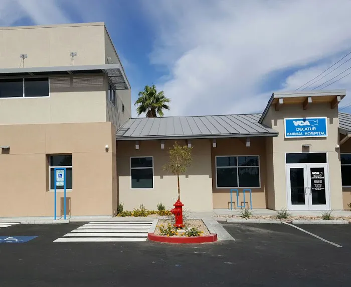 VCA Decatur Animal Hospital 12