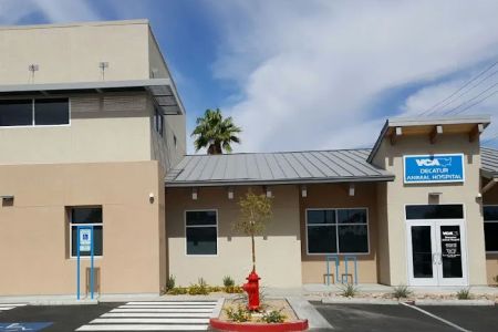VCA Decatur Animal Hospital