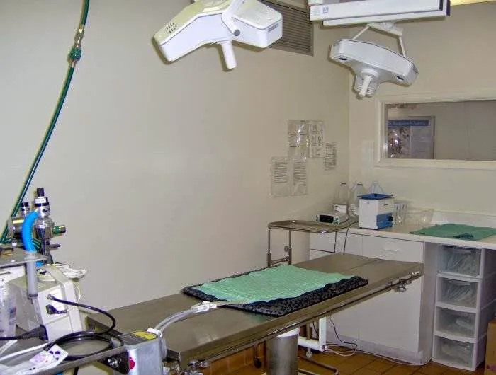 VCA Decatur Animal Hospital 12
