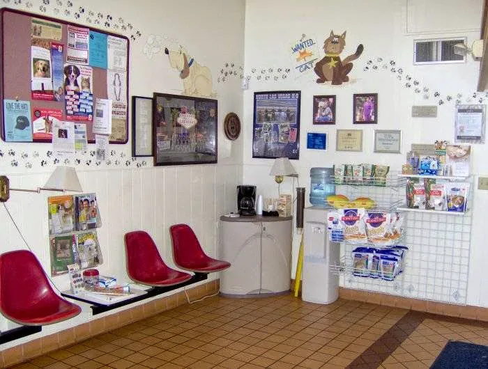 VCA Decatur Animal Hospital 12