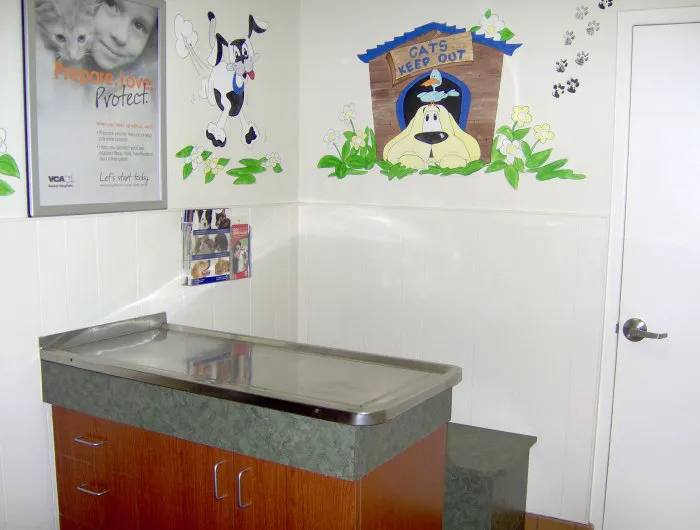 VCA Decatur Animal Hospital 12