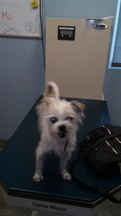 VCA Decatur Animal Hospital 12