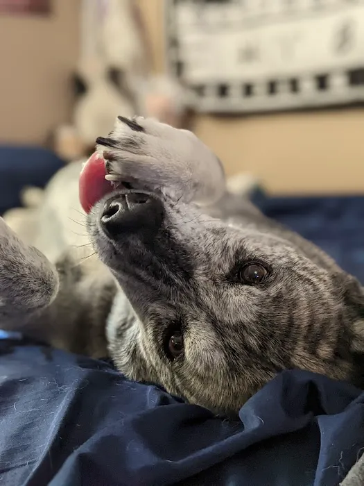 Banfield Pet Hospital 1