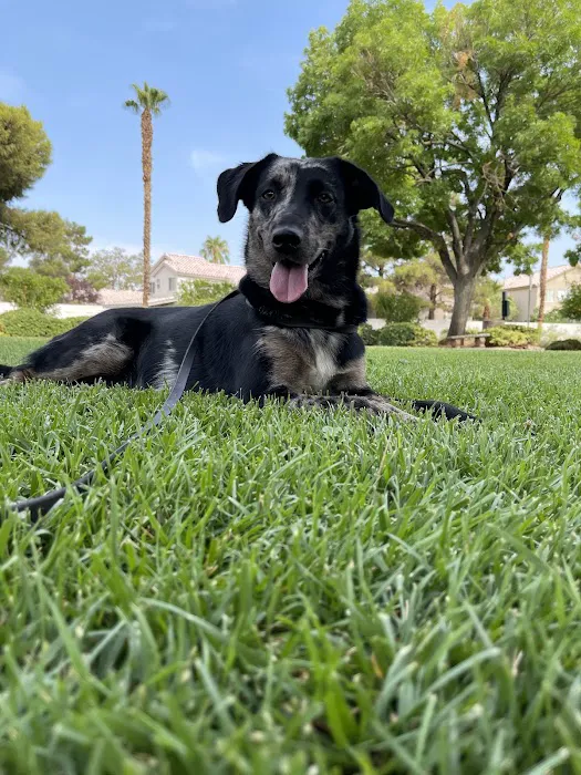 Banfield Pet Hospital 6