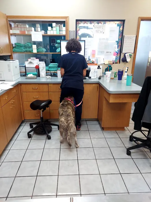 Banfield Pet Hospital 5