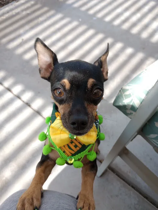 Banfield Pet Hospital 9
