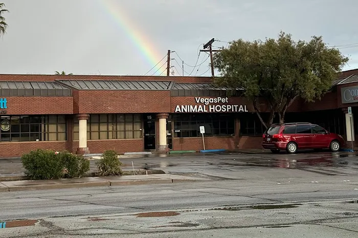 VegasPet Animal Hospital 12