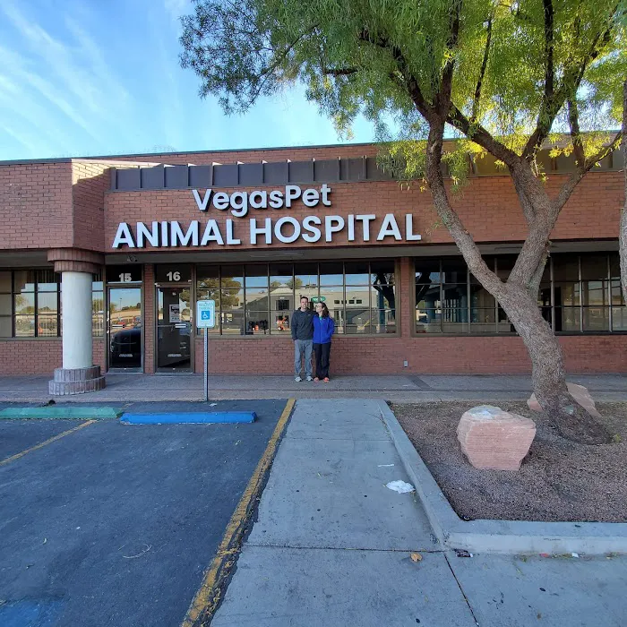 VegasPet Animal Hospital 12