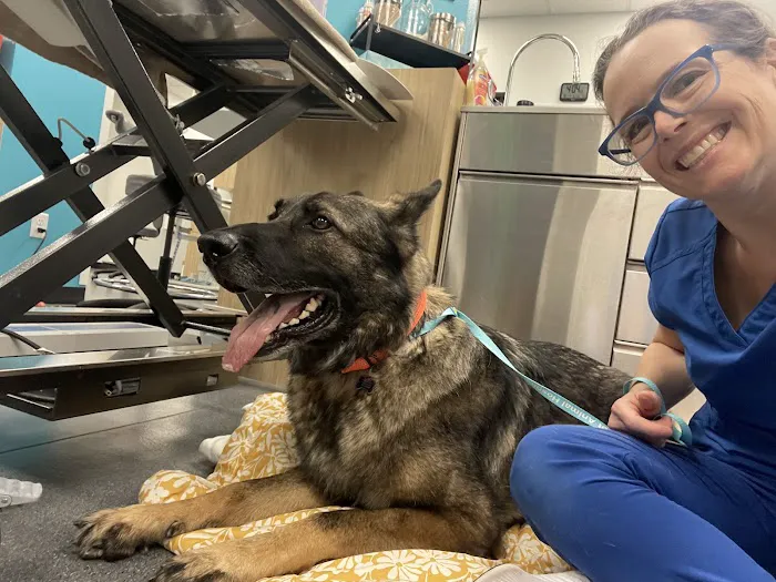 VegasPet Animal Hospital 12