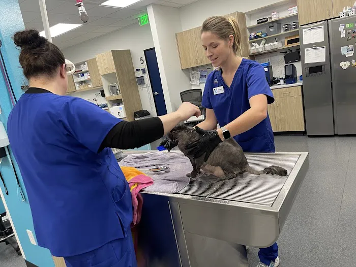 VegasPet Animal Hospital 12