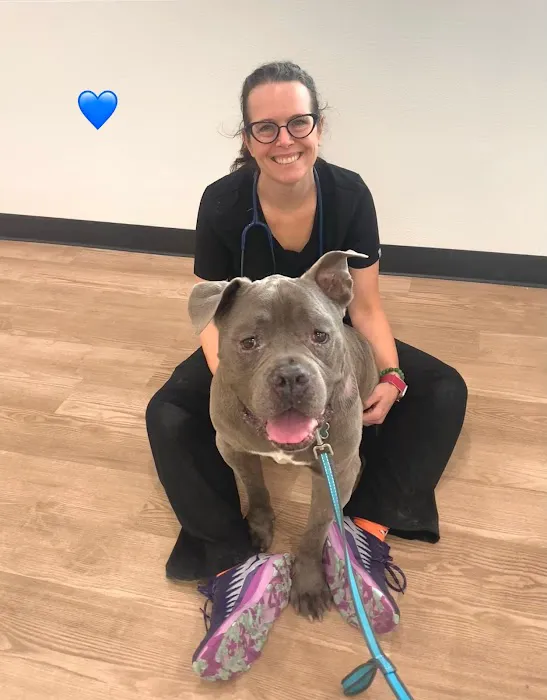 VegasPet Animal Hospital 12