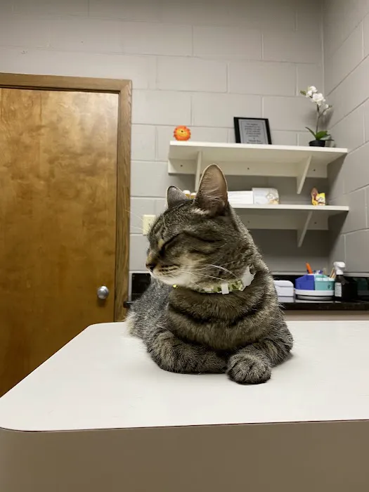 Southside Animal Clinic 12