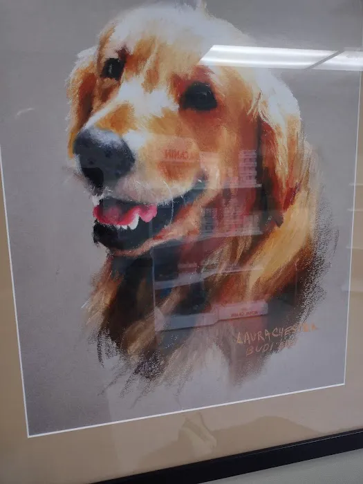 Southside Animal Clinic 12