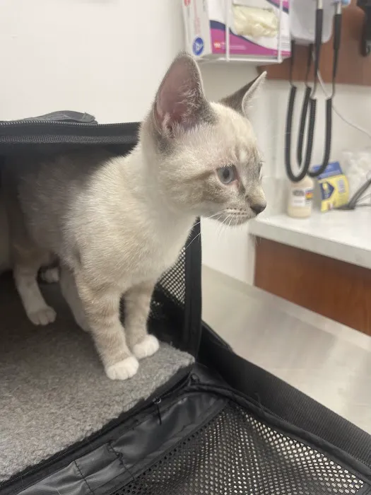 First Coast Vets Affordable Animal Hospital 8