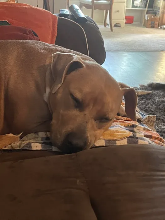 Banfield Pet Hospital 5