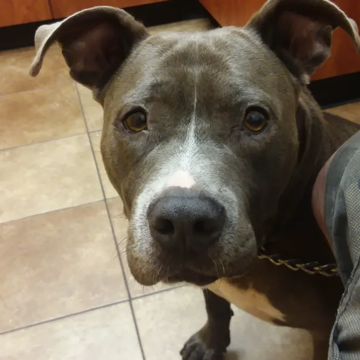 Banfield Pet Hospital 8