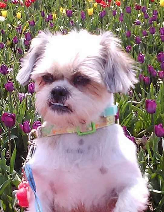 Banfield Pet Hospital 6