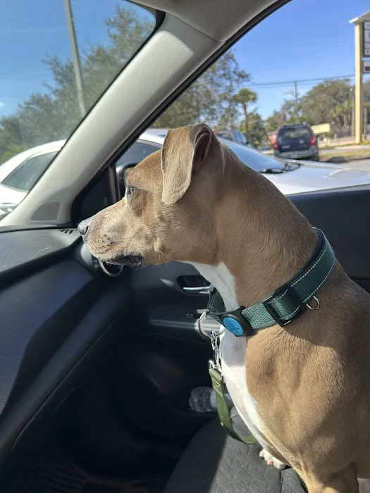 Banfield Pet Hospital 9
