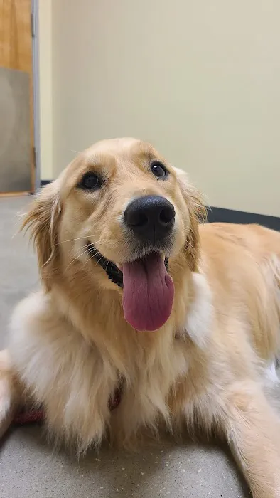 Vetco Total Care Animal Hospital 12