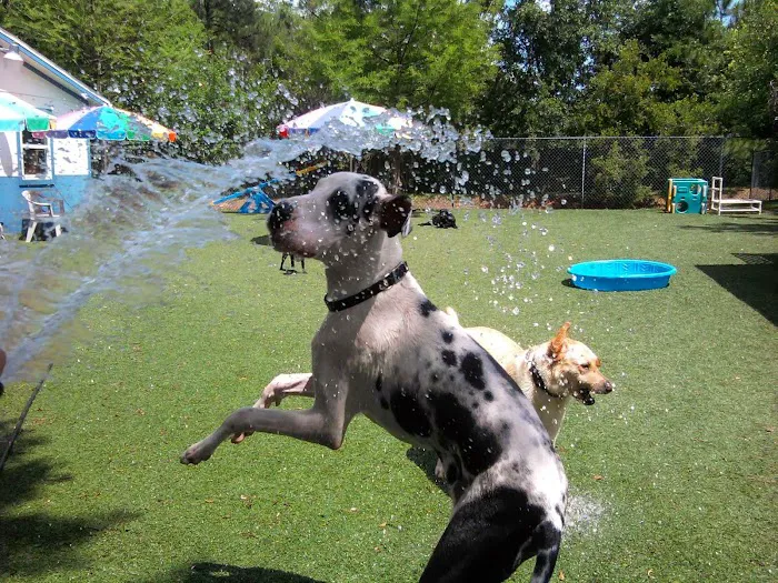 Coastal Veterinary Hospital & Pet Resort 2