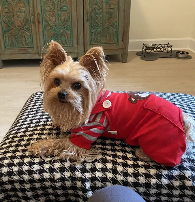 Coastal Veterinary Hospital & Pet Resort 7