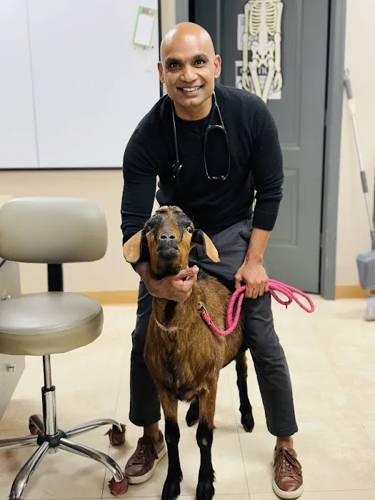 Care Pet Animal Hospital 12