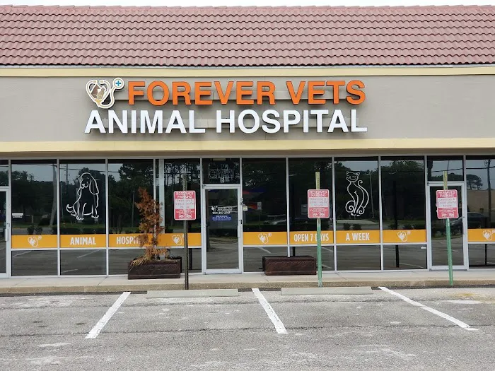 Forever Vets Animal Hospital of Jacksonville Beach 5