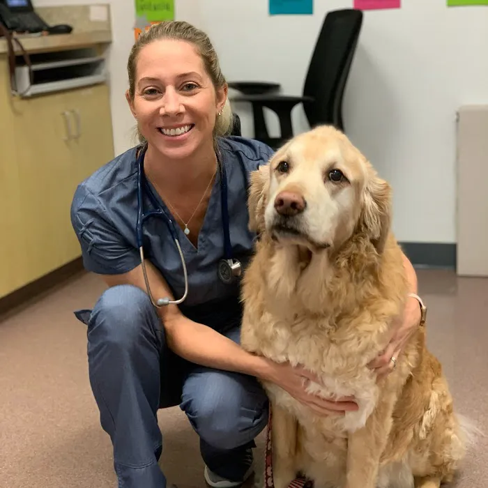 Forever Vets Animal Hospital of Jacksonville Beach 8