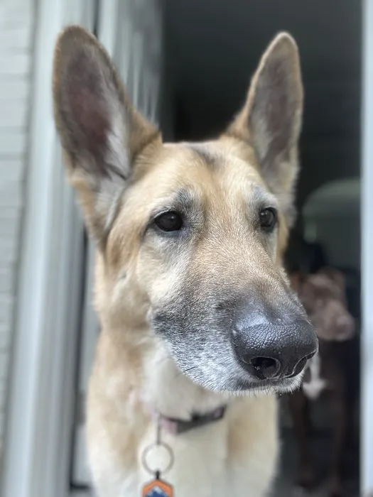 San Pablo Animal Hospital 2
