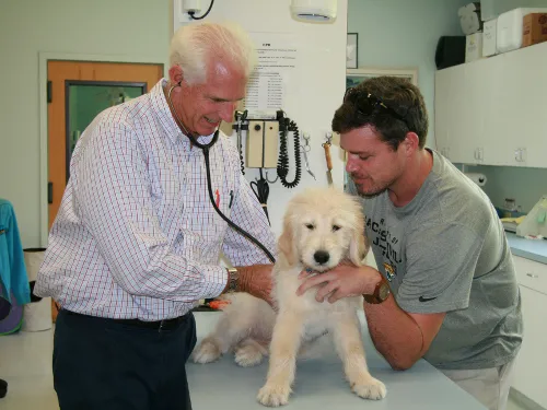 San Pablo Animal Hospital 3